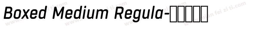 Boxed Medium Regula字体转换